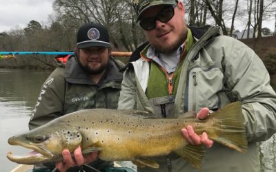 When Is the Best Time to Take a Guided Fly Fishing Trip?